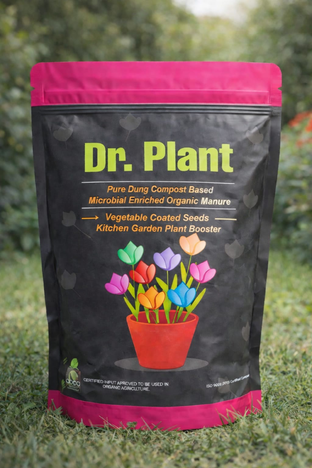 Dr. Plant